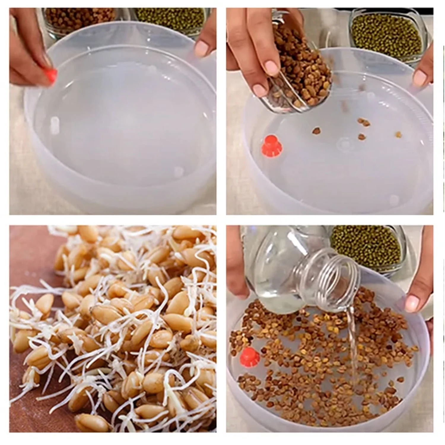 TM0280 Sprout Maker 3 Bowl Sprout Maker for Home (3 Layer) - Image 6