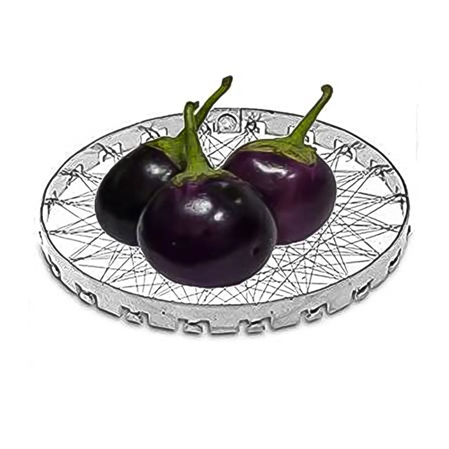 10139 Stainless Steel Grill Jalli, Chota Tandoor by DeoDap - Image 4