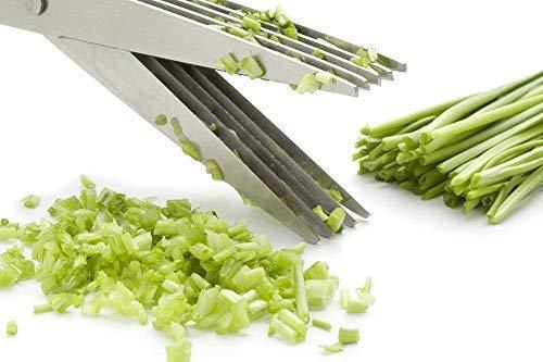1563 Multifunction Vegetable Stainless Steel Herbs Scissor with 5 Blades - Image 3