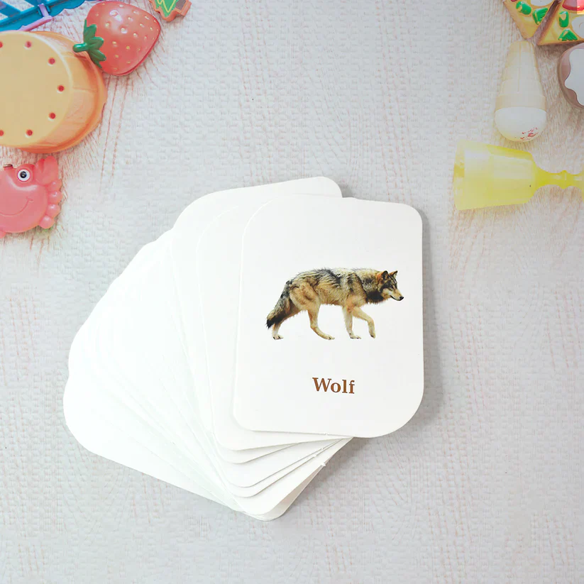 19150 Kidkraft 32-Piece Animal Flash Cards Set - Image 3