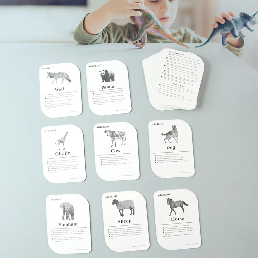 19150 Kidkraft 32-Piece Animal Flash Cards Set - Image 4