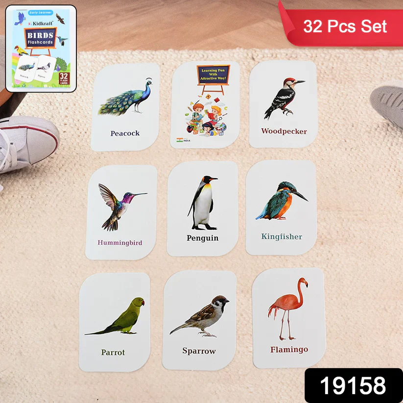 19158 KidKraft Early Learner Educational Flashcards – 32 Birds - Image 2