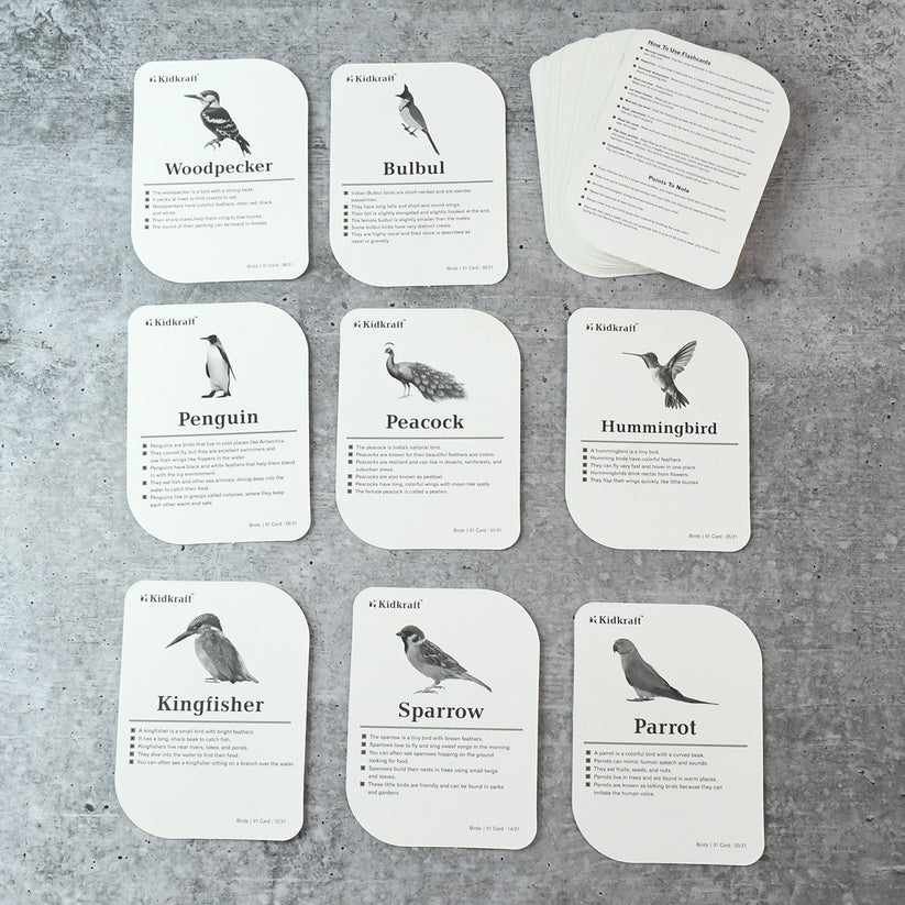 19158 KidKraft Early Learner Educational Flashcards – 32 Birds - Image 3
