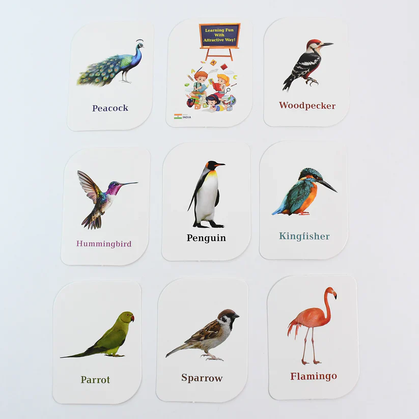 19158 KidKraft Early Learner Educational Flashcards – 32 Birds - Image 4