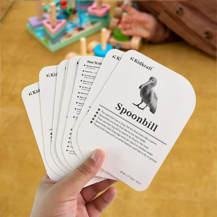 19158 KidKraft Early Learner Educational Flashcards – 32 Birds - Image 5
