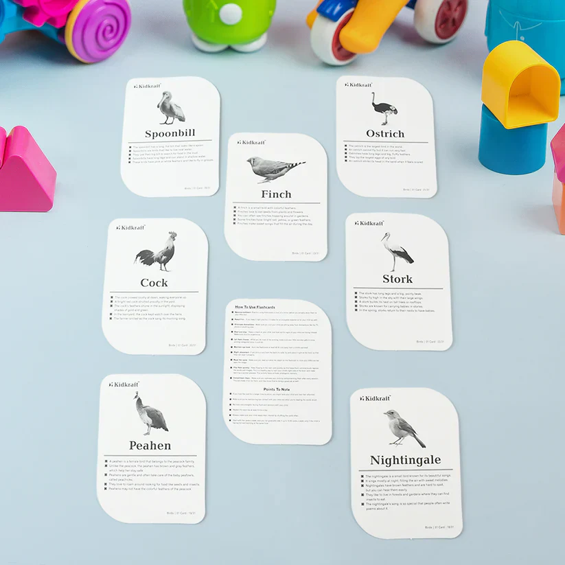 19158 KidKraft Early Learner Educational Flashcards – 32 Birds - Image 6