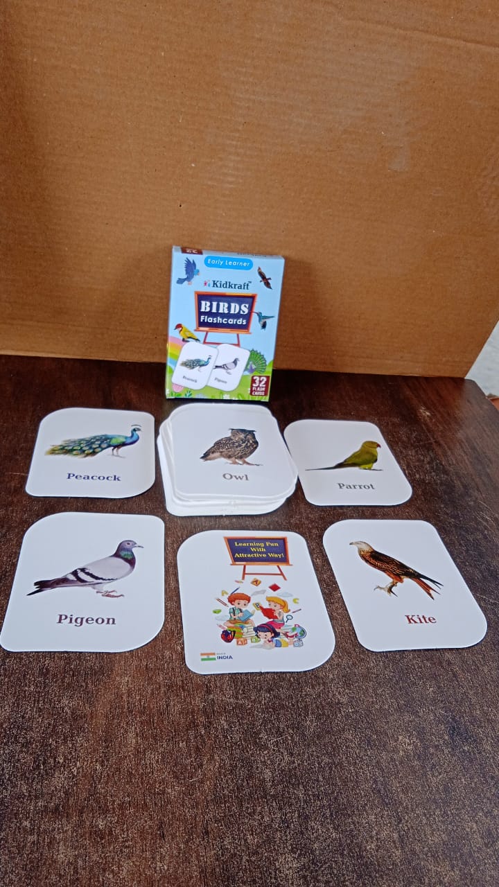 19158 KidKraft Early Learner Educational Flashcards – 32 Birds - Image 8