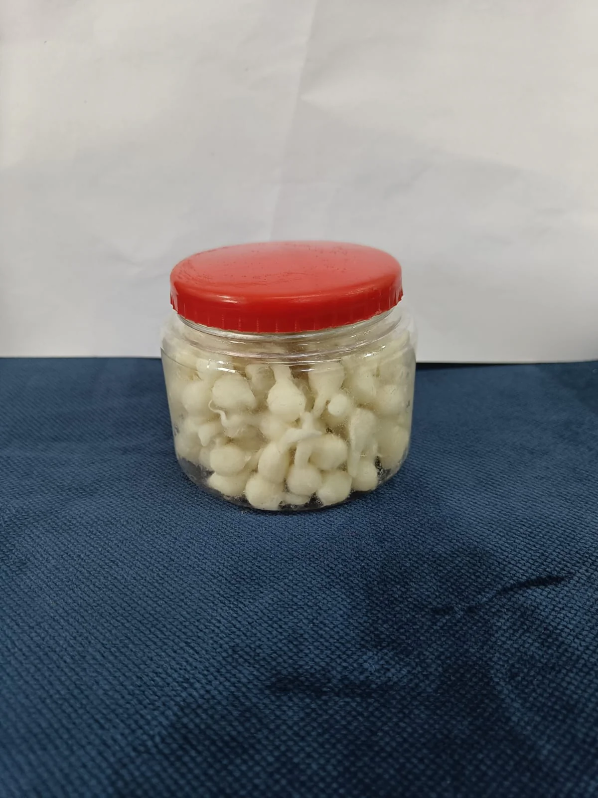 3366 Pure Ghee Diya Batti Wicks for Pooja -120pcs - Image 3