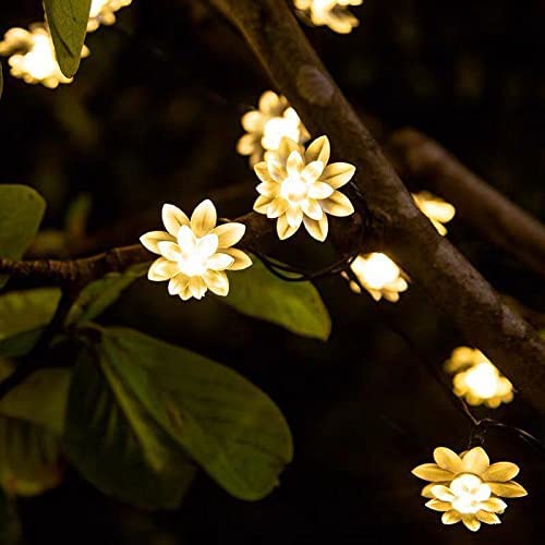 3394 14 LED Double Lotus Flower Fairy String Lights for Home Decoration 10 Feet (Warm White) - Image 8