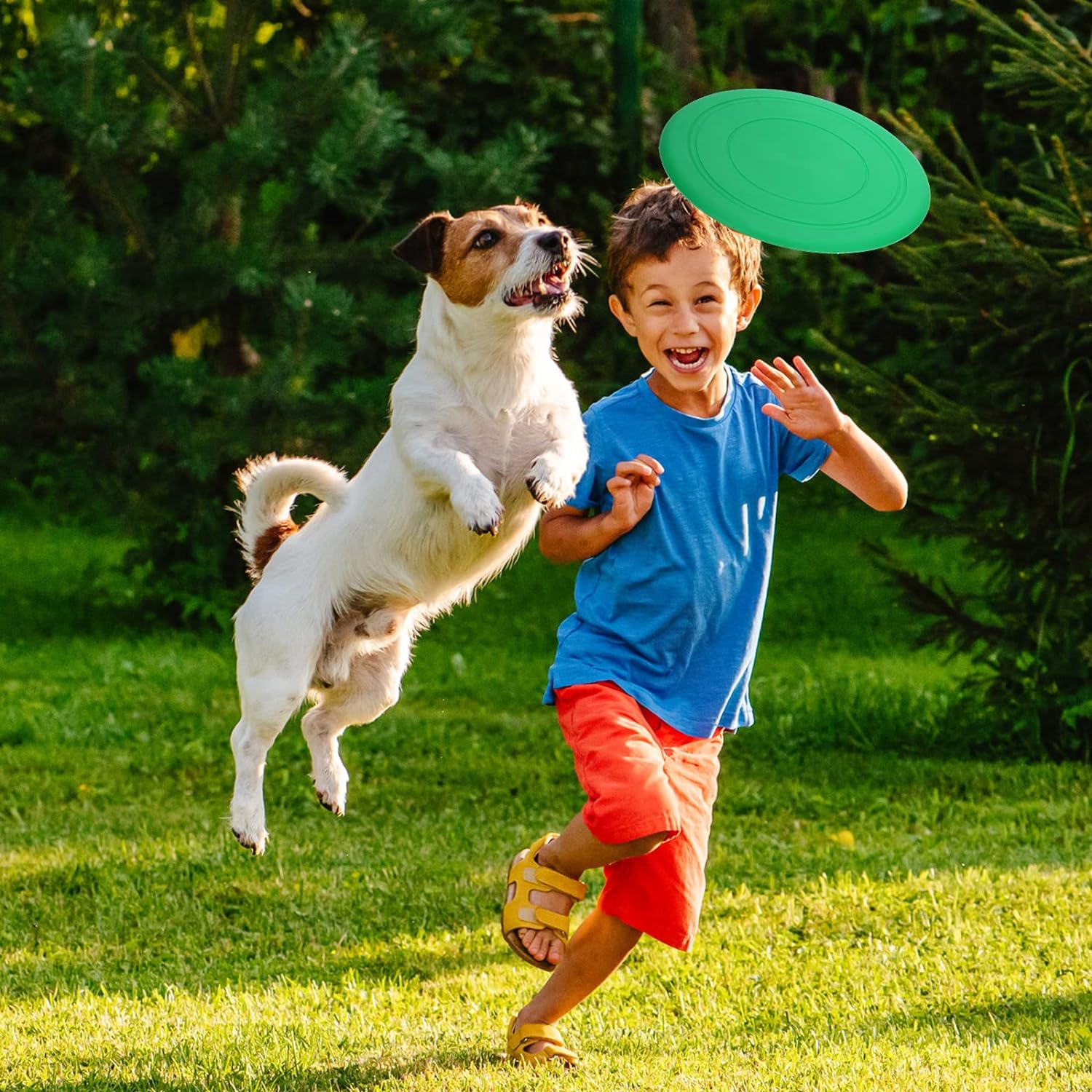 AM0193 Flying Disk for Kids | frizbee disc for Adults | Flying Spinner for Dog Toys Light Weight (Pack of 1) - Image 3