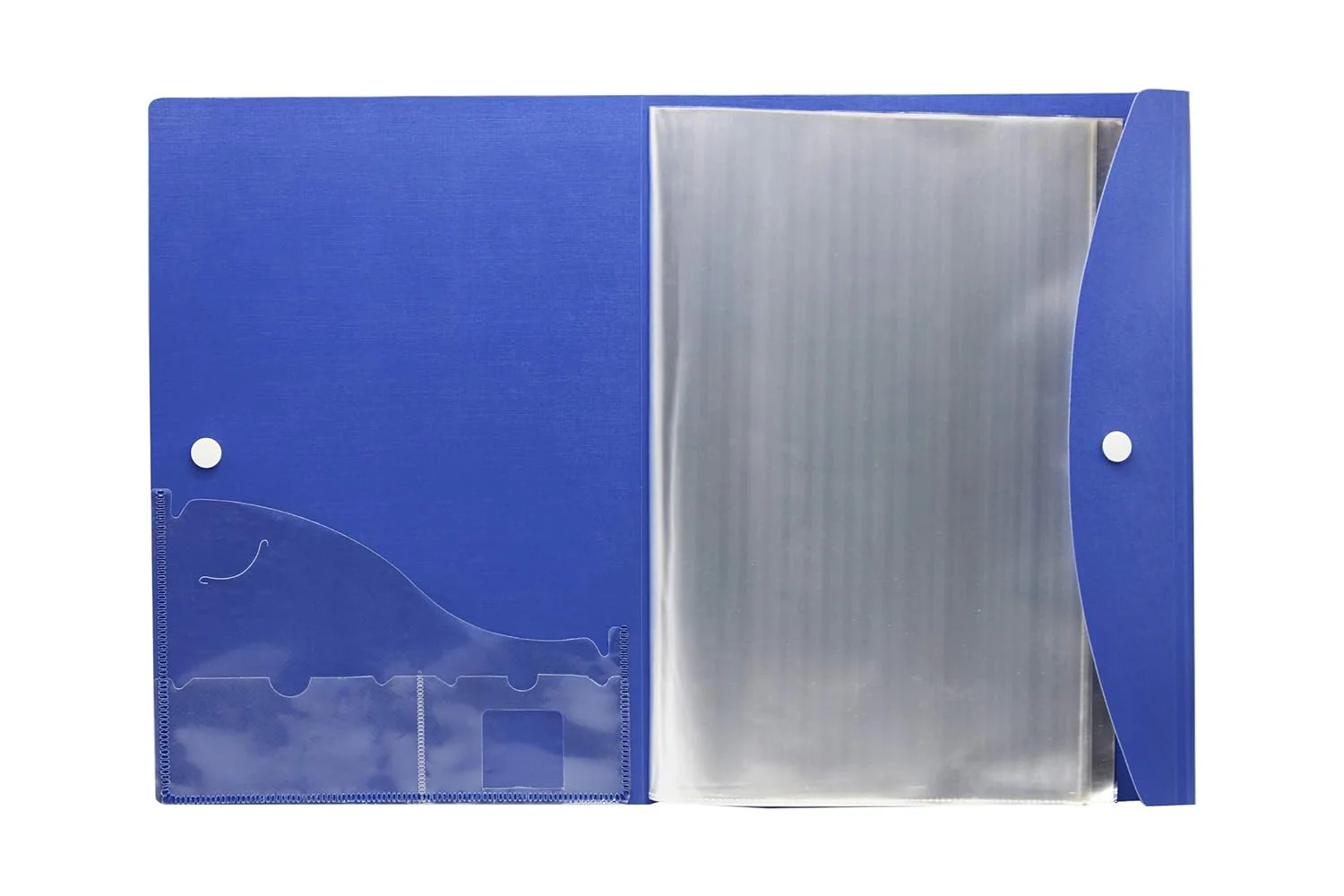 AM0419 Display File | Clear Leaves | Best for FC Size | 10 Folder Button File - Image 2