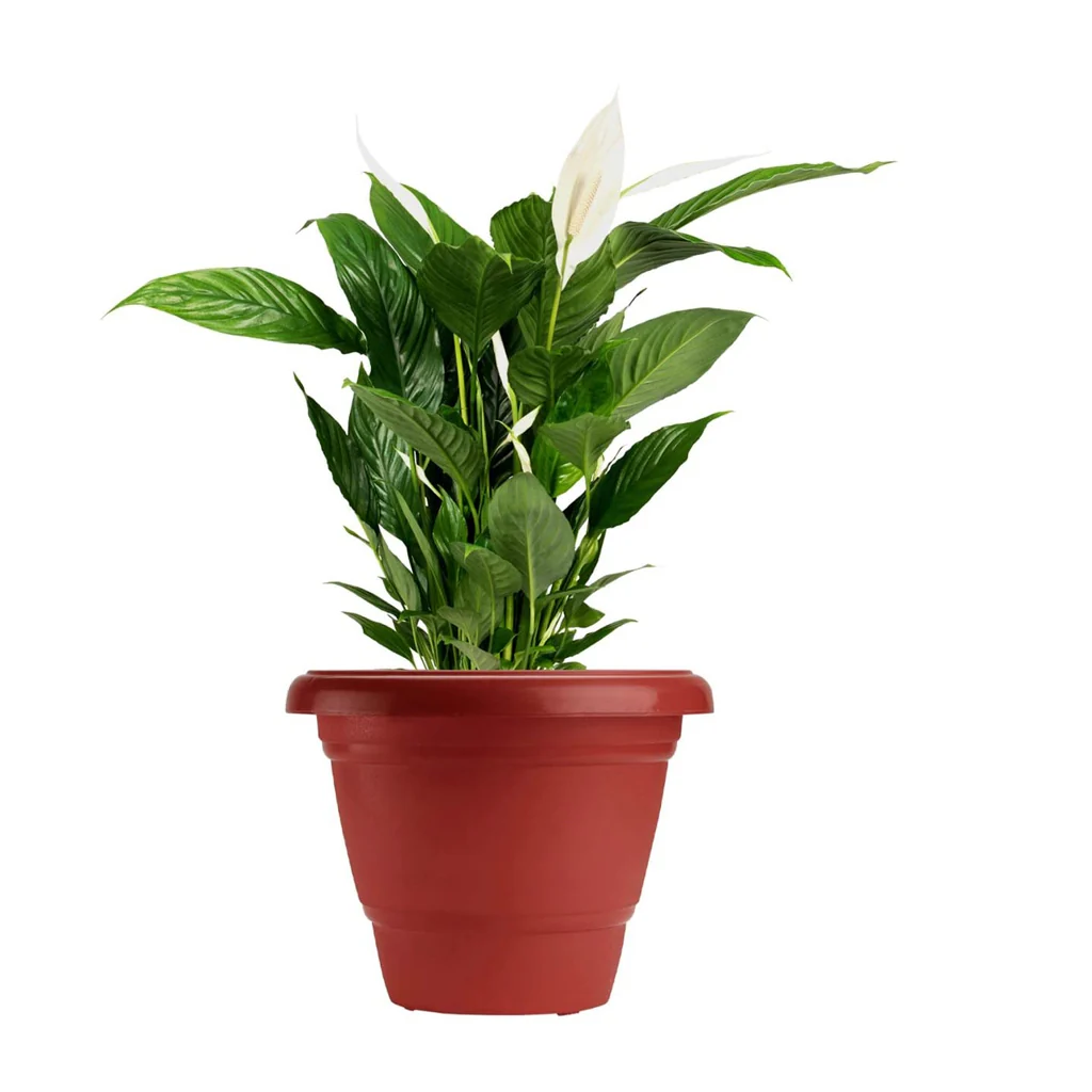 AM0812 Deep Virgin Plastic Round Planter 18 inch - Image 4