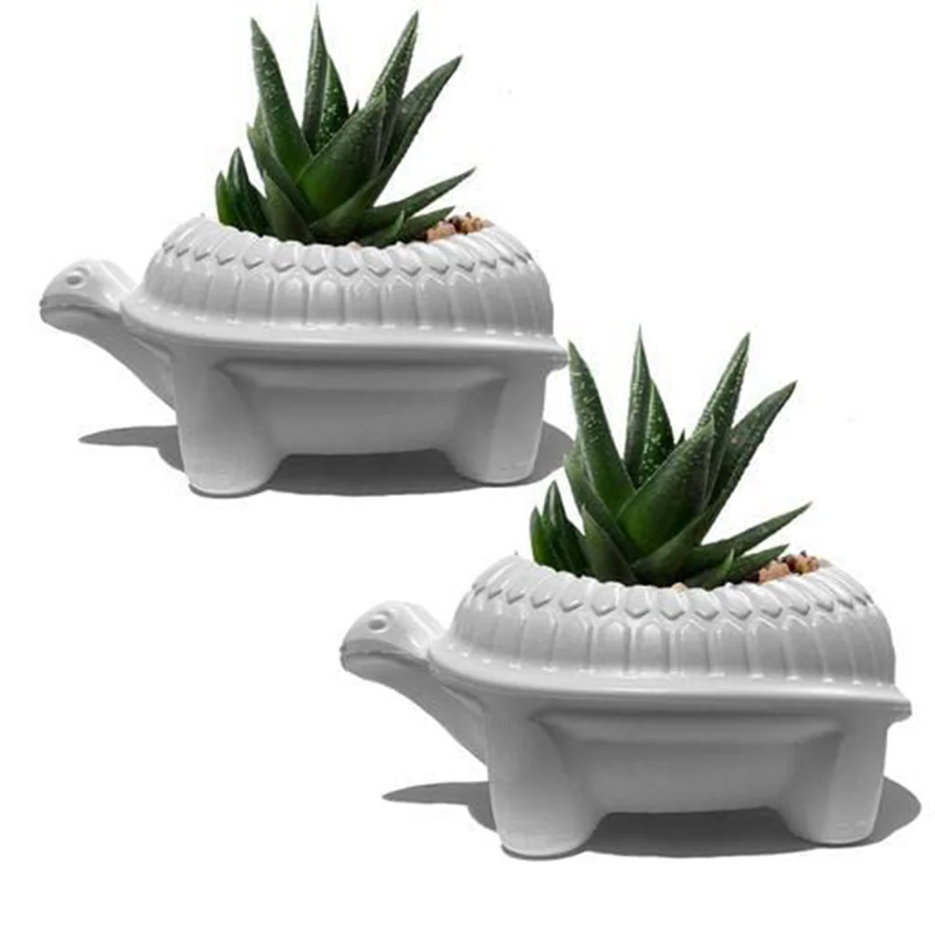 AM0839 Tortoise Pot Indoor Pot Multicolor - Image 6