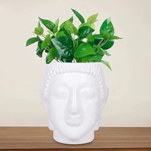 AM0822 Buddha Pot 6 inch Flower Plant Plastic Pot - Image 3