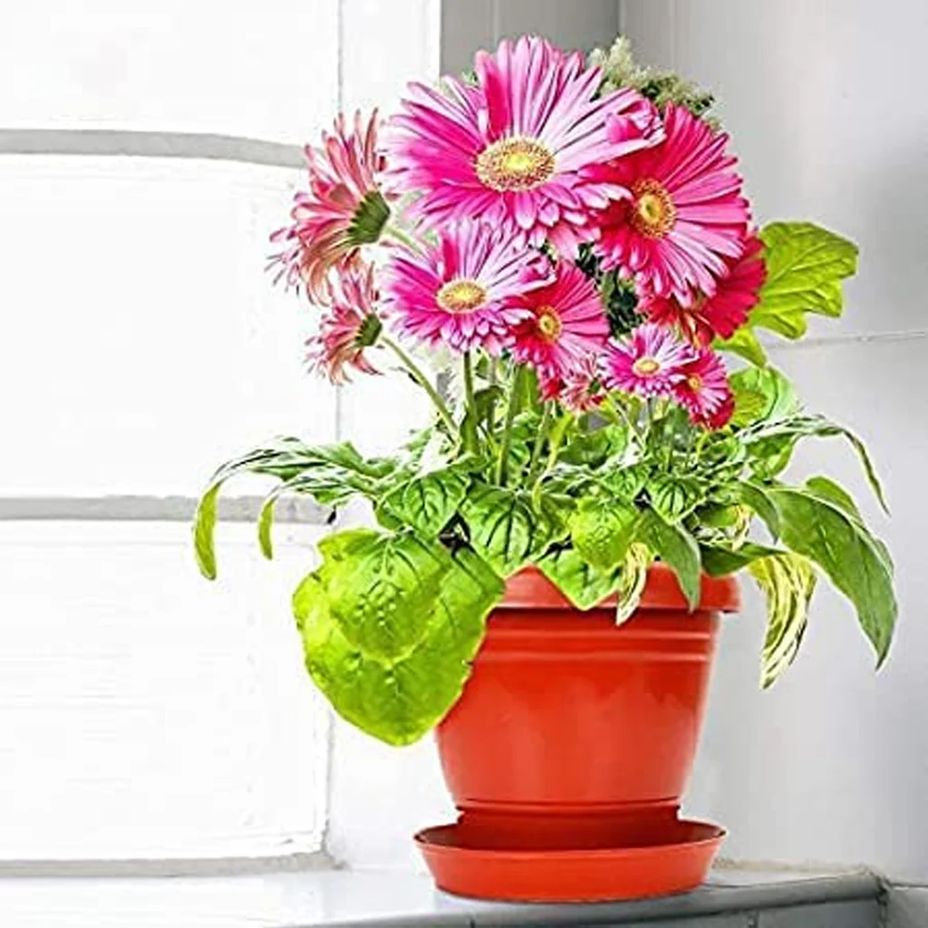 AM0942 Flower Pot Plant Saucer 14 Inch Base Plate Tray - Image 4