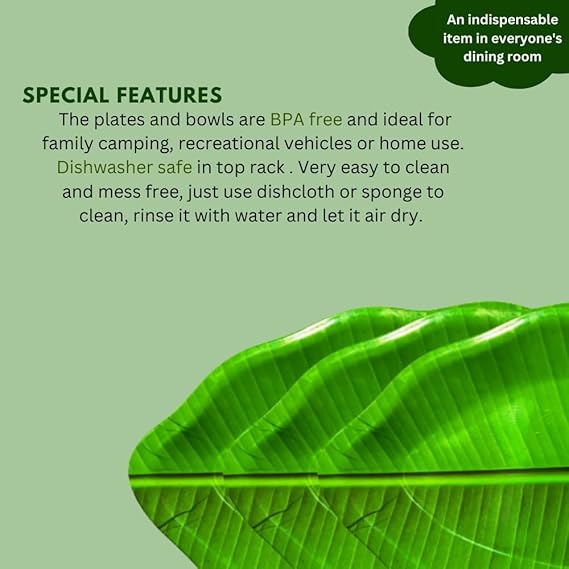 AM3236 Banana Leaf Shape Dessert Plates for All Occasions 1 Piece - Image 4