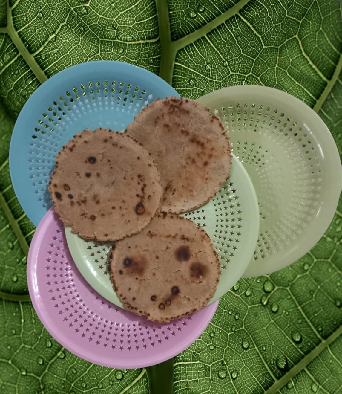AM5293 Food Grade Plastic Tray (Roti Plate) 1 pc Multicolor - Image 7
