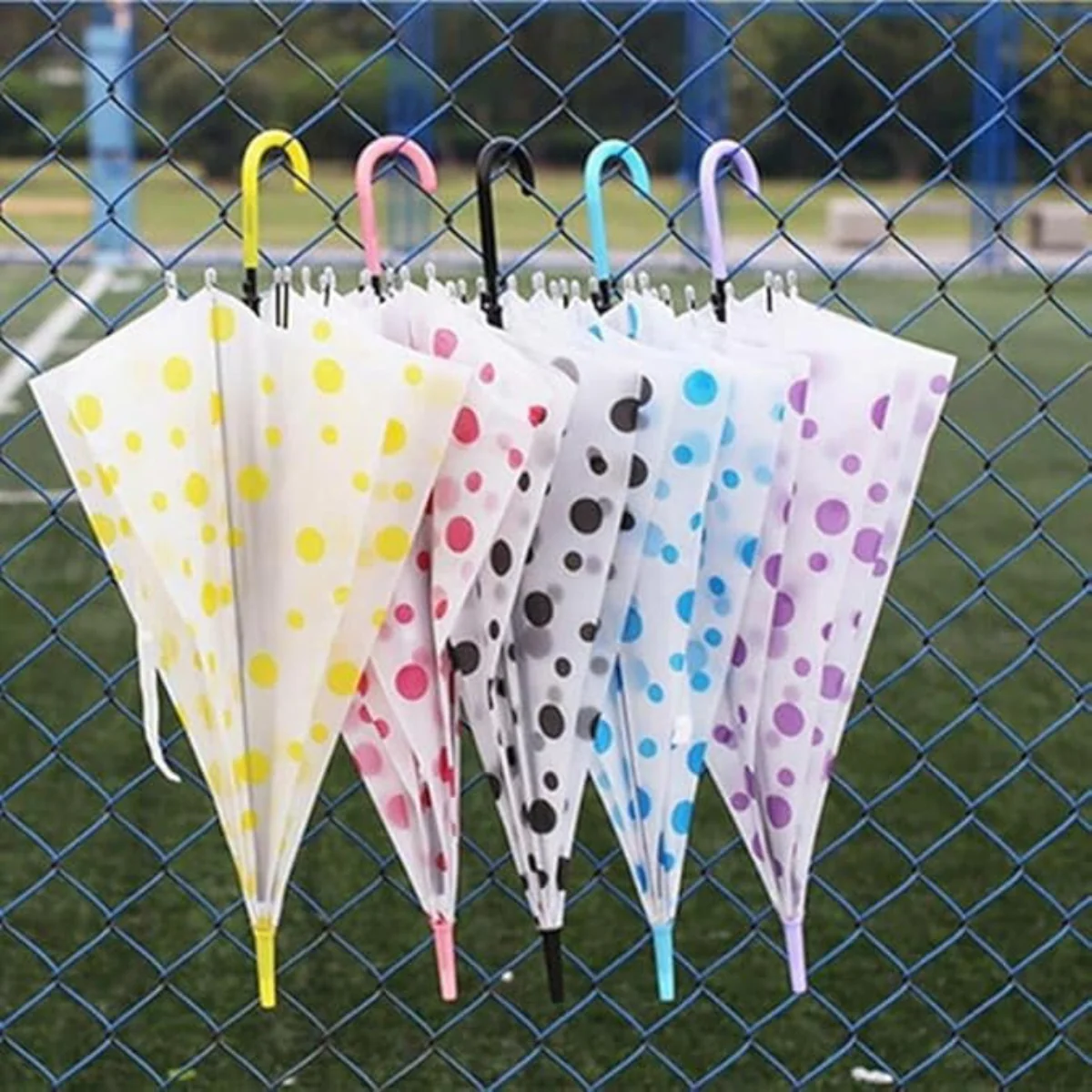 AM5494 Transparent Clear Polka-Dot Lightweight, Porable & Anti-UV Umbrella Multicolour 1 pc - Image 7