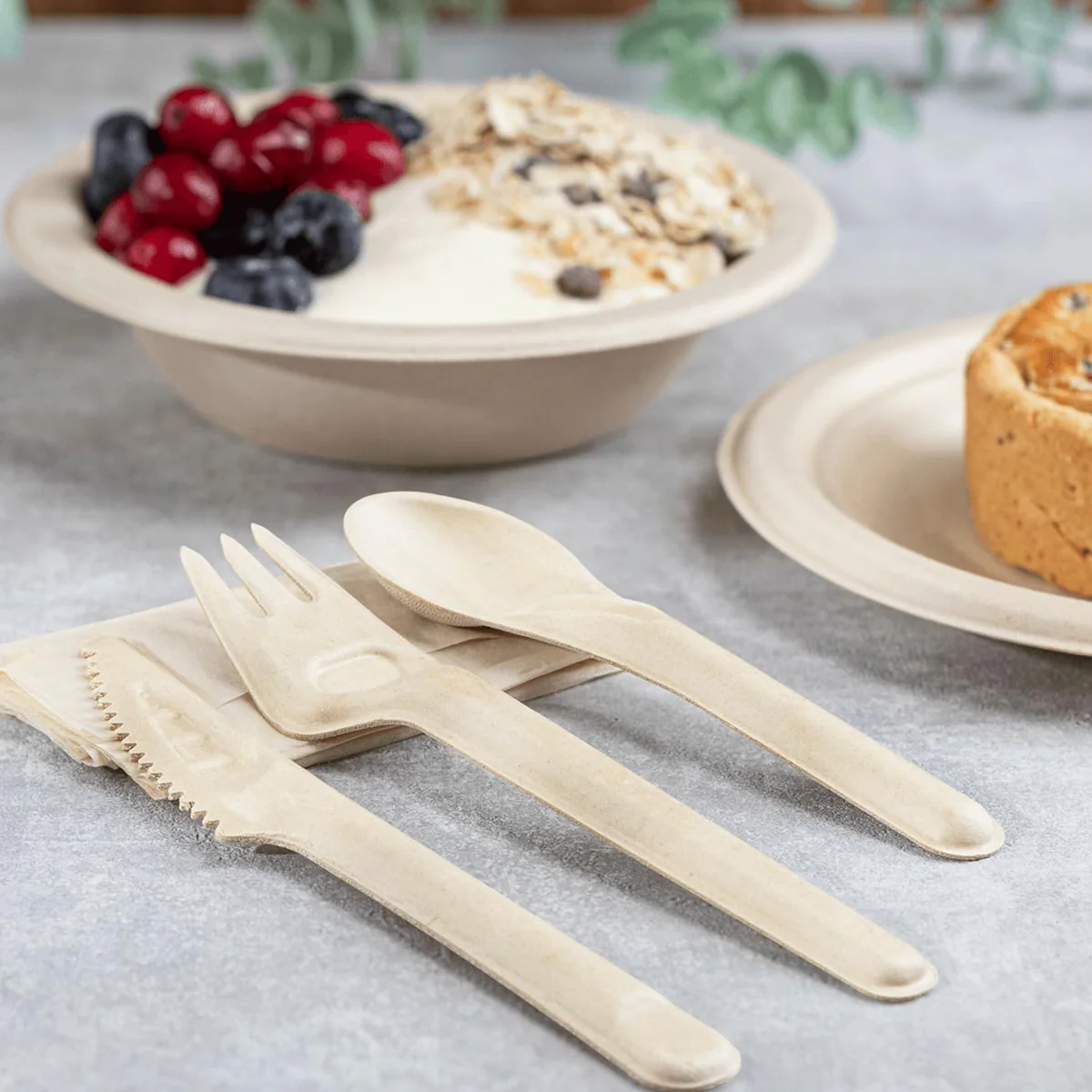 AM5739 Freshee Compostable Bagasse Fork (6 Inch, Pack of 10Pcs) - Image 3