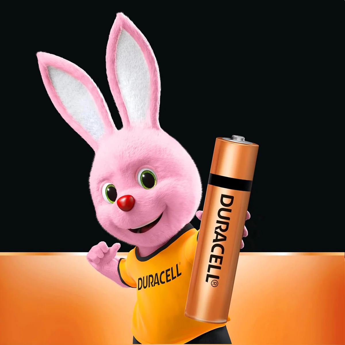 AM5888 Duracell Alkaline AAA Battery Cell - Pack of 1 - Image 2