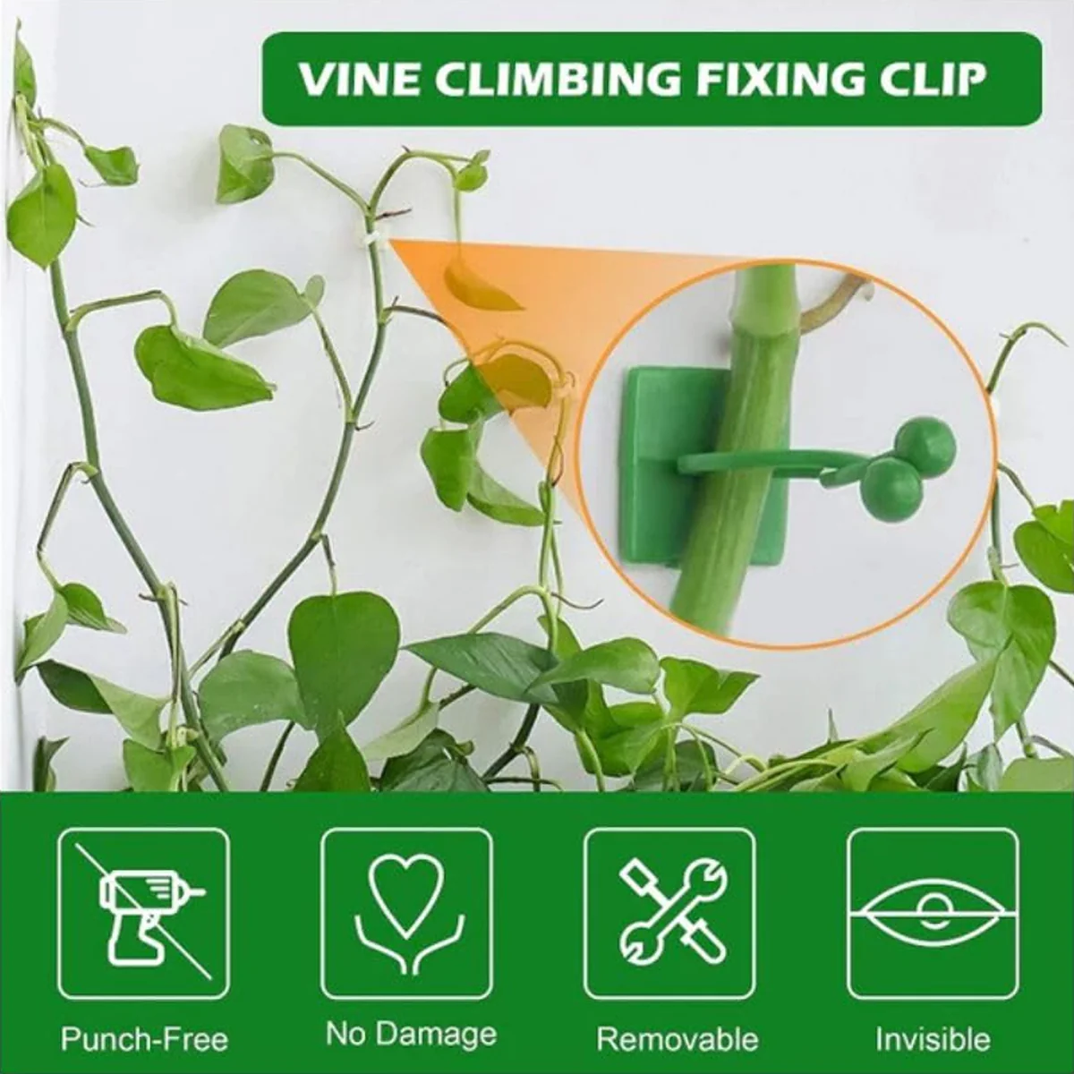 AM6863 30 Pcs-Adhesive Plant Climbing Fixing Clips - Green Vine Wall Holders - Image 3
