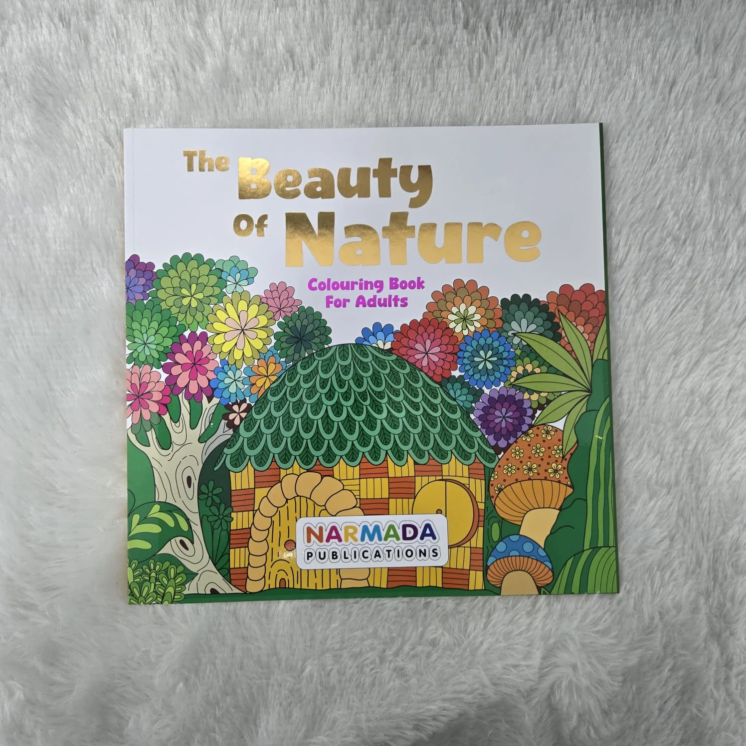 AM7243 Colouring Book by Narmada Publications - Image 2
