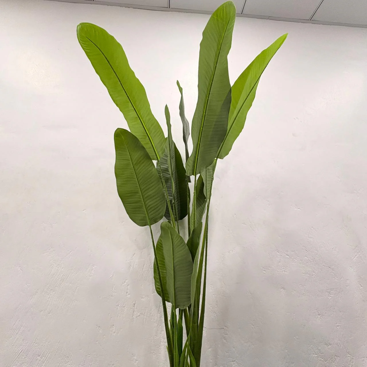 AM7462 BIG Artificial Bird of Paradise Potted Floor Plant - Image 2