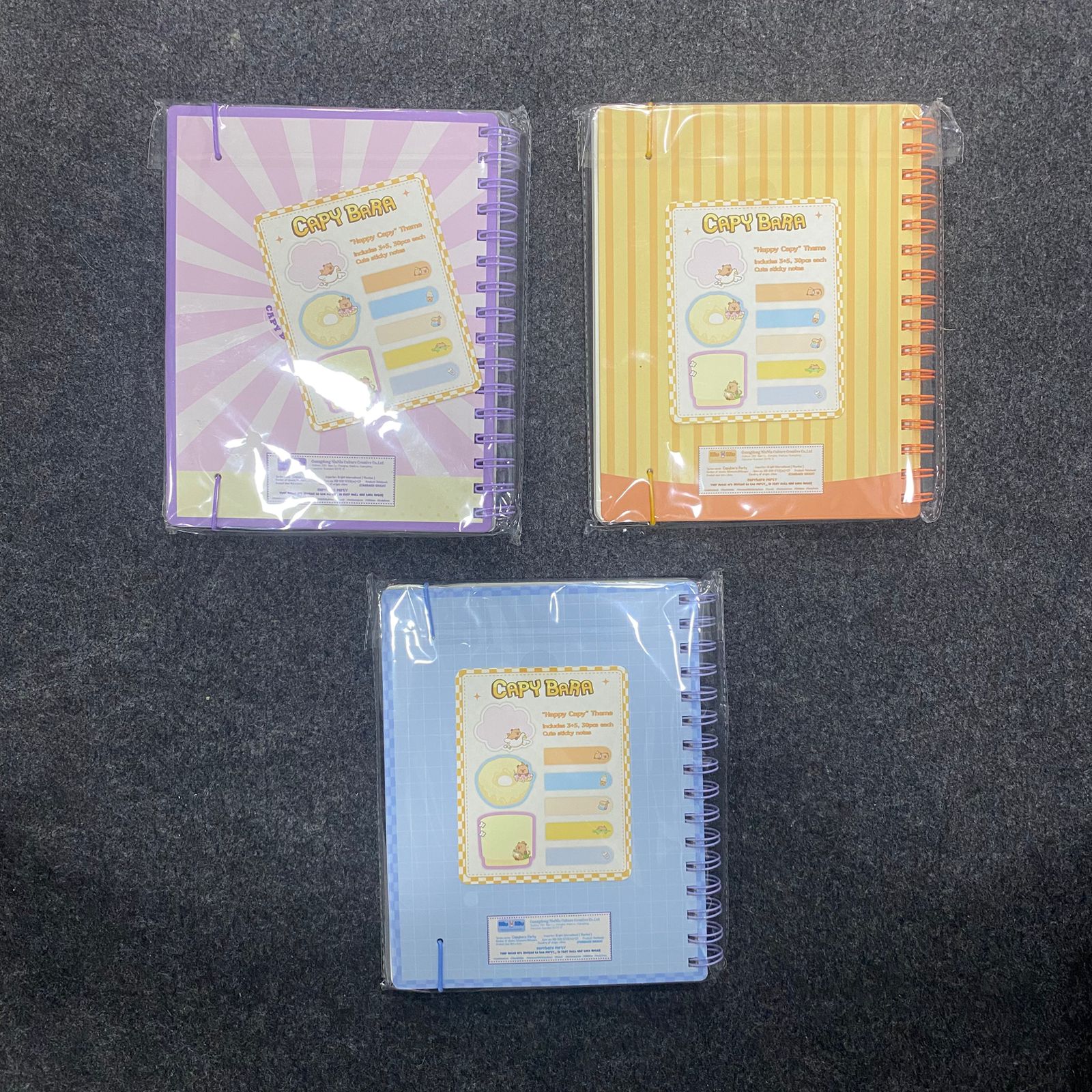 AM7541 Capybara Themed Spiral Notebooks NB20K5713 (1-Pcs) - Image 4