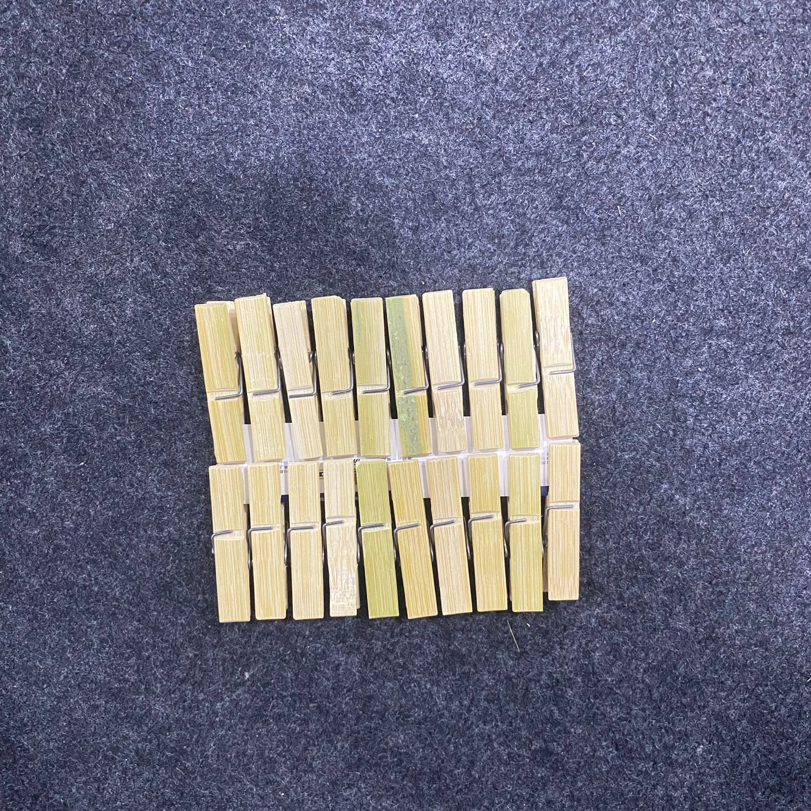 AM7668 Xintong Eco Friendly Heavy Duty Bamboo Clothes Pegs Clamps for Drying Laundry 20 Pcs - Image 3