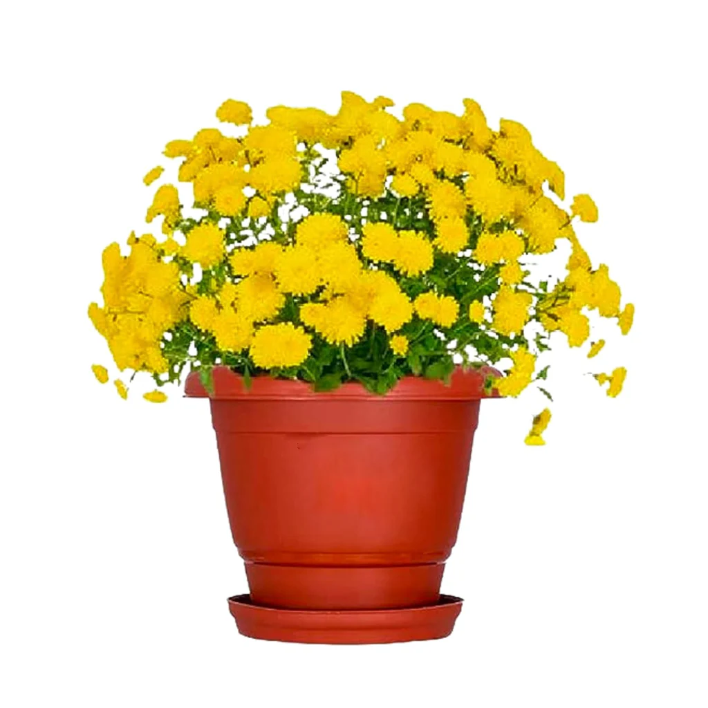 AM0938 Flower Pot Plant Saucer 6 Inch Base Plate Tray - Image 4
