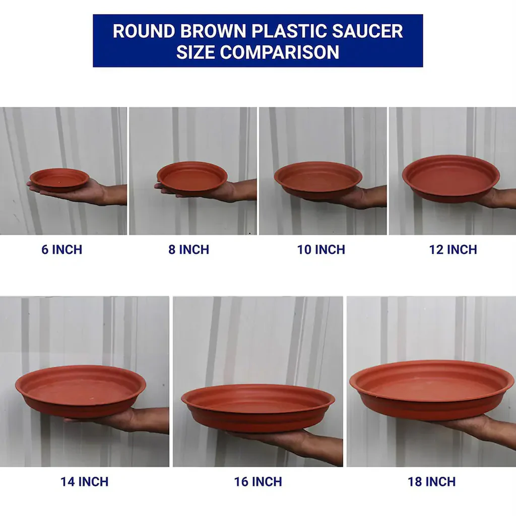 AM0939 Flower Pot Plant Saucer 8 Inch Base Plate Tray - Image 9