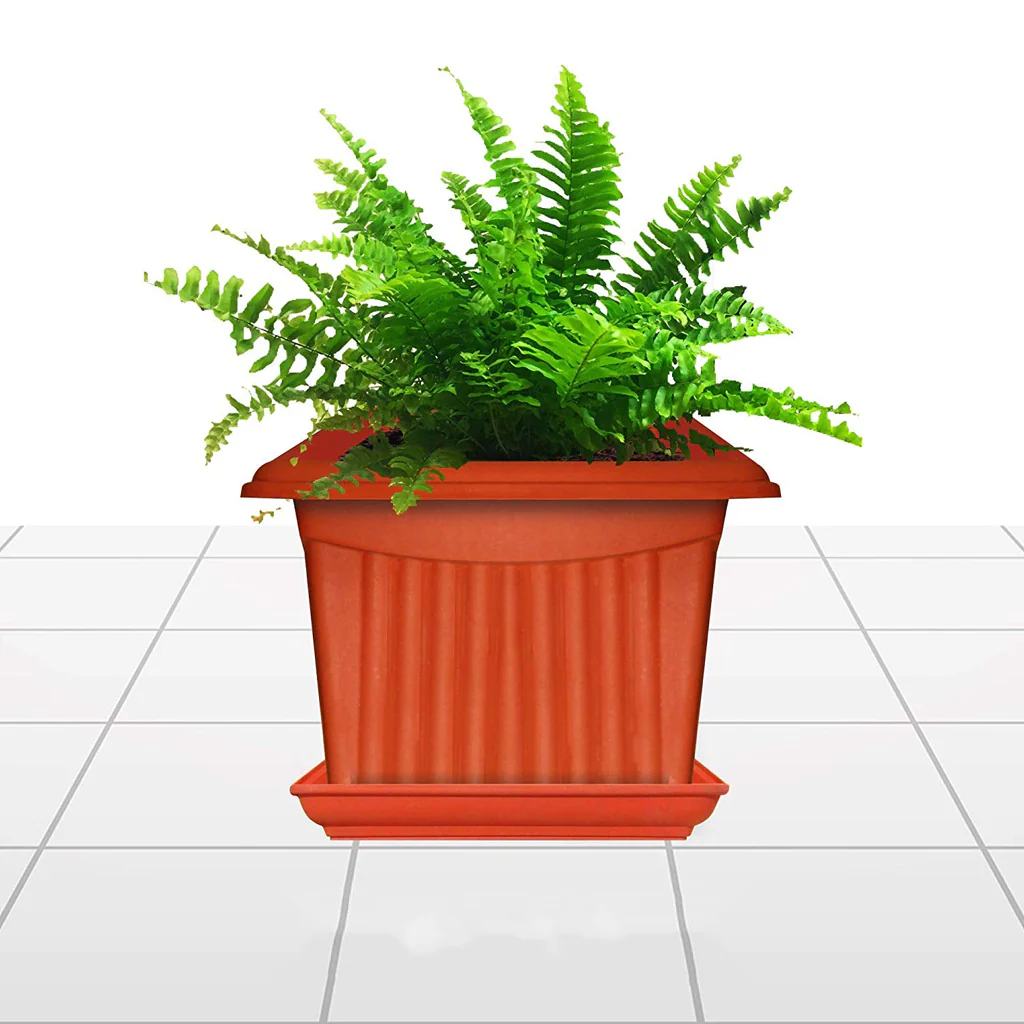 AM0934 Flower Pot Square Plastic Plant 10 Inch Saucer Tray Plant Pot - Image 3